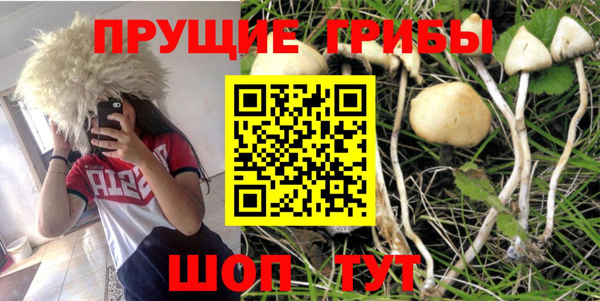 Галлюциногенные грибы ЛСД Кубинка