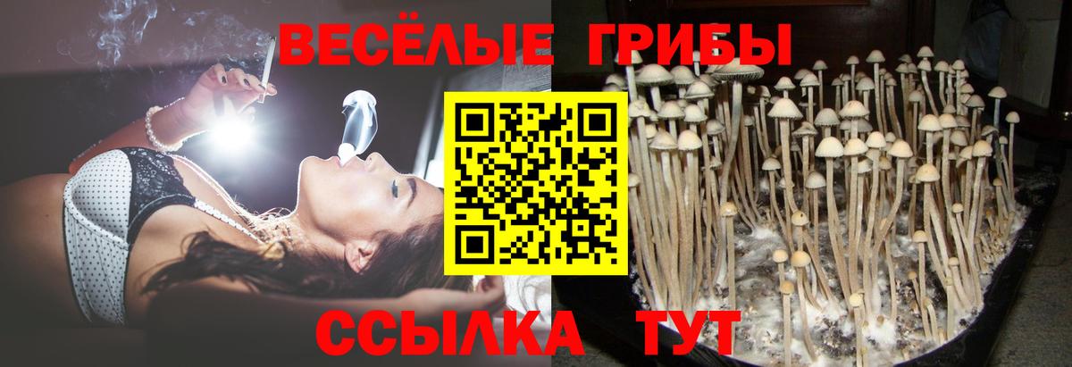 Галлюциногенные грибы Cubensis  Вход с VPN  Кубинка 